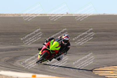 media/Jan-13-2024-SoCal Trackdays (Sat) [[9c032fe5aa]]/Bowl Exit Set 2 (1135am)/